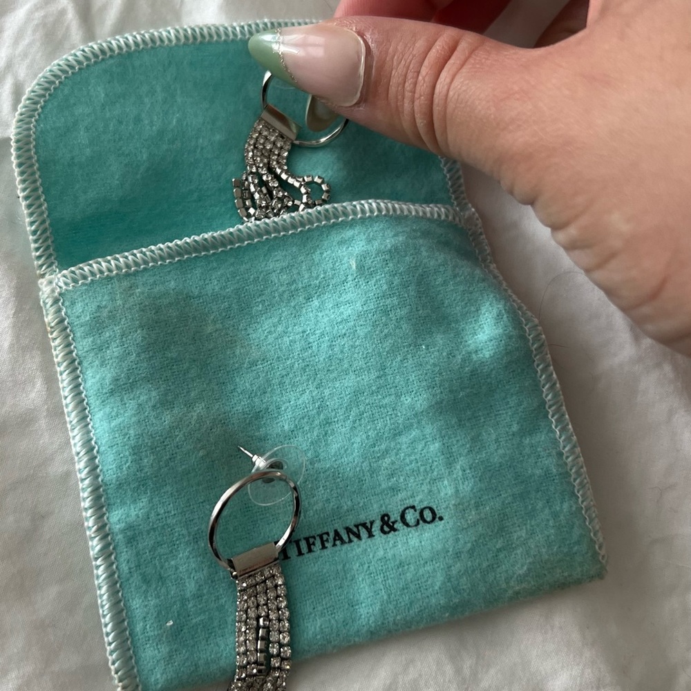 Tiffany’s dust bag